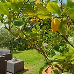 Caligo Secret Garden Vicino Alle Cinque Terre לינה וארוחת בוקר לה ספציה
