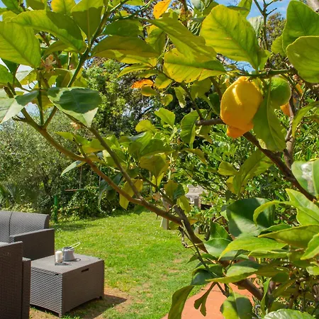 Caligo Stanza Privata In D'epoca Con Giardino E Vista Mare Bed & Breakfast La Spezia