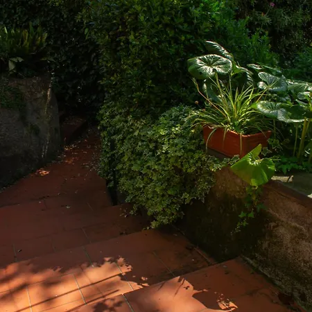 Bed & Breakfast Caligo Stanza Privata In D'epoca Con Giardino E Vista Mare 3*