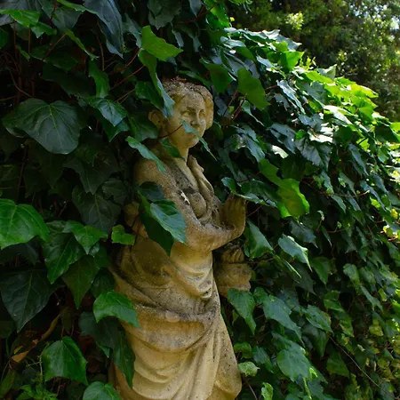 Caligo Stanza Privata In D'epoca Con Giardino E Vista Mare Bed & Breakfast La Spezia