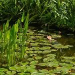 Caligo Stanza Privata In D'epoca Con Giardino E Vista Mare Bed & Breakfast 3*
