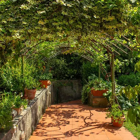 Caligo Stanza Privata In D'epoca Con Giardino E Vista Mare 3*