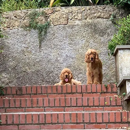 Caligo Stanza Privata In D'epoca Con Giardino E Vista Mare לינה וארוחת בוקר