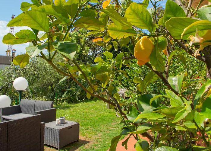 Caligo Secret Garden Vicino Alle Cinque Terre Отель типа 
